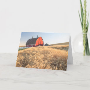 Barn, summer wheat fields near Sprague, Eastern 1 Holiday Card
