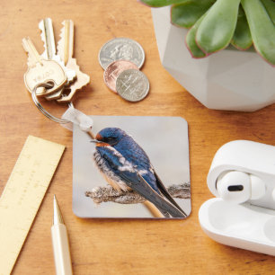 Barn Swallow, Brilliant Blue Songbird Keychain