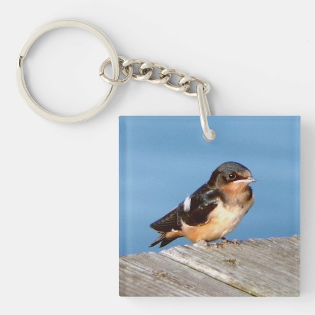 Barn Swallow clé acrylique chian (Devant)