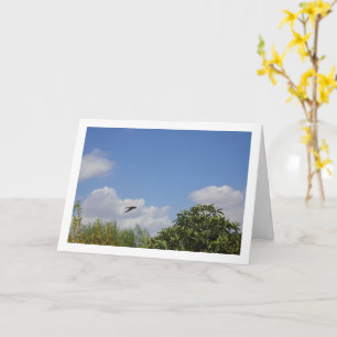 Barn Swallow Country Portrait Card