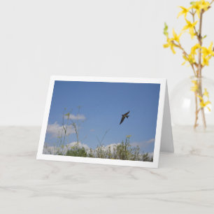 Barn Swallow Country Portrait Card