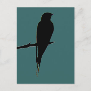 Barn Swallow green Postcard