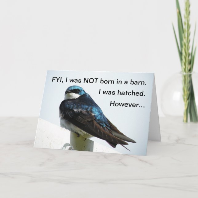 Barn Swallow I'm Sorry Card (Front)