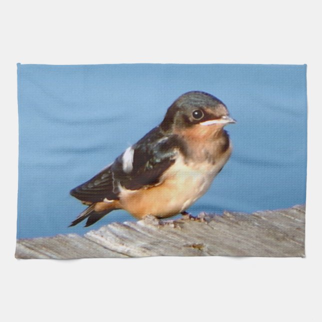 Barn Swallow kitchen towel (Horizontal)