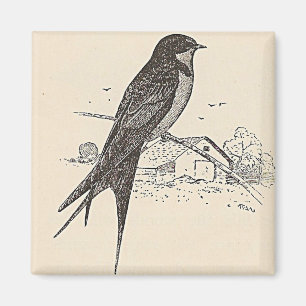 Barn Swallow Magnet