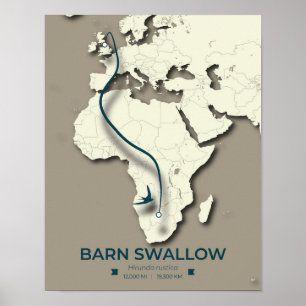 Barn Swallow Migration Map – Minimalist Vintage Poster