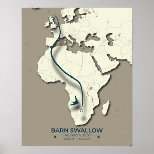 Barn Swallow Migration Map – Minimalist Vintage Poster
