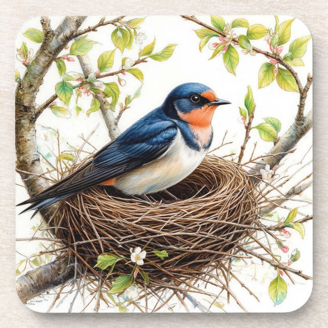 Barn Swallow Nesting on a Blossom-Covered Branch Coaster (Front)