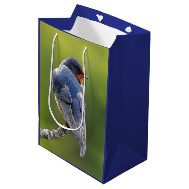 Barn Swallow on a Branch Medium Gift Bag (Front Angled)