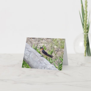Barn Swallow on Fence Note Card