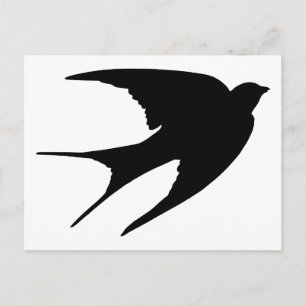 Barn Swallow Postcard