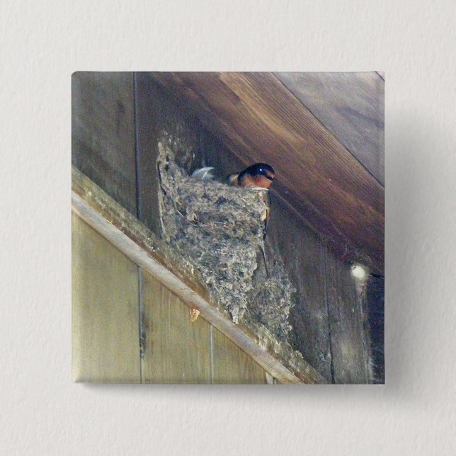 Barn Swallow Series 2 Inch Square Button (Front)