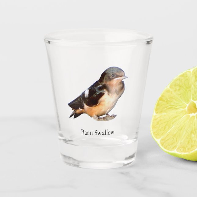 Barn Swallow shot glass (Front)