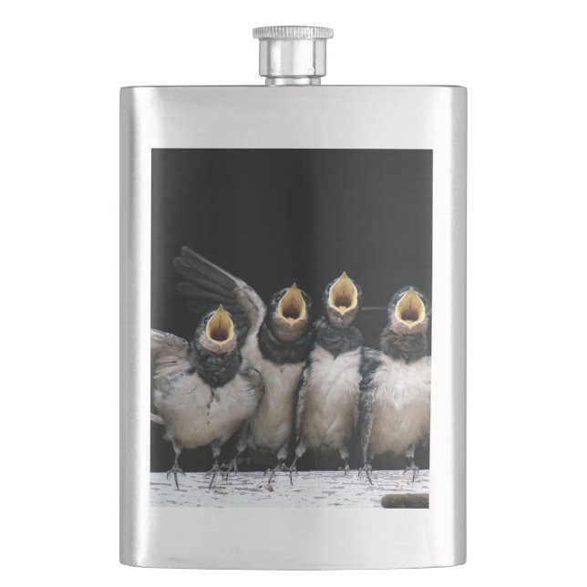 Barn Swallow Singing Hip Flask (Front)