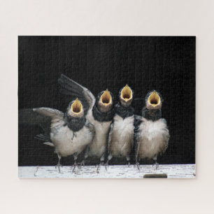 Barn Swallow Singing Jigsaw Puzzle