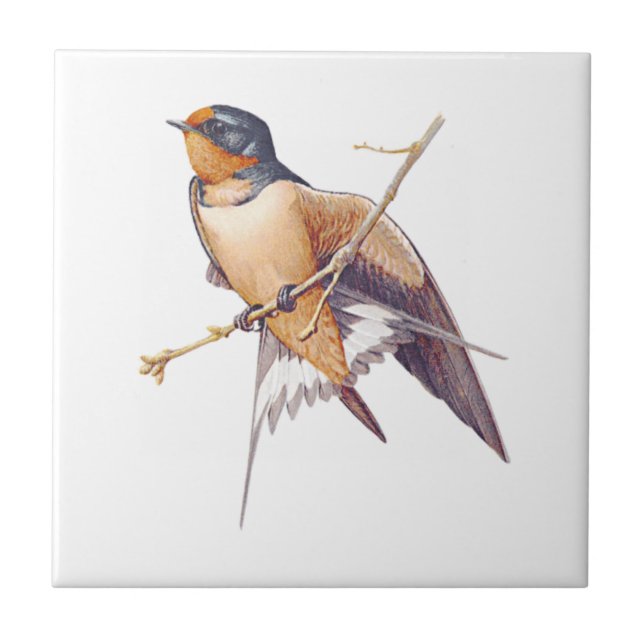 Barn Swallow Tile. Tile (Front)