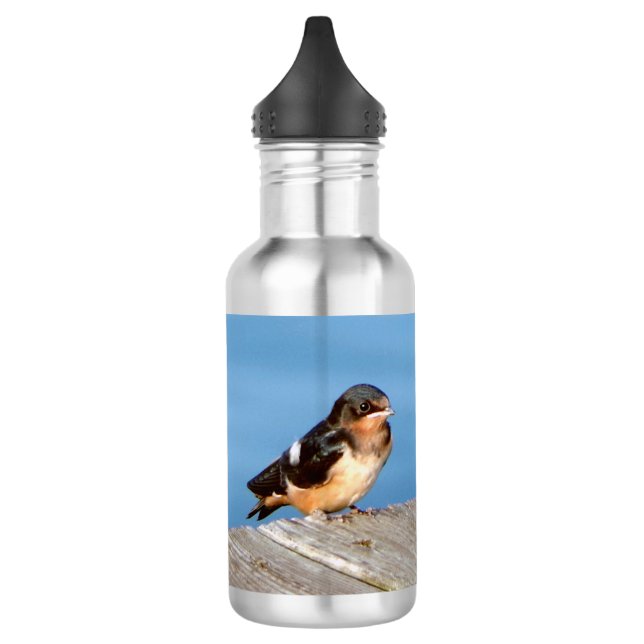 Barn Swallow water bottle (Left)