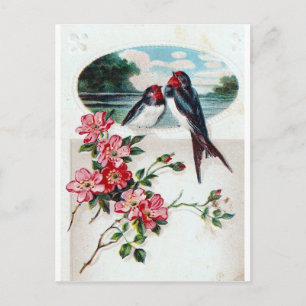 Barn Swallows and Pink Flowers Postcard