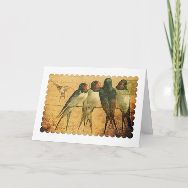 Barn Swallows, Birthday Card (Front)