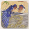 Barn Swallows, Bluebirds