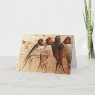 Barn Swallows, Father's Day Card