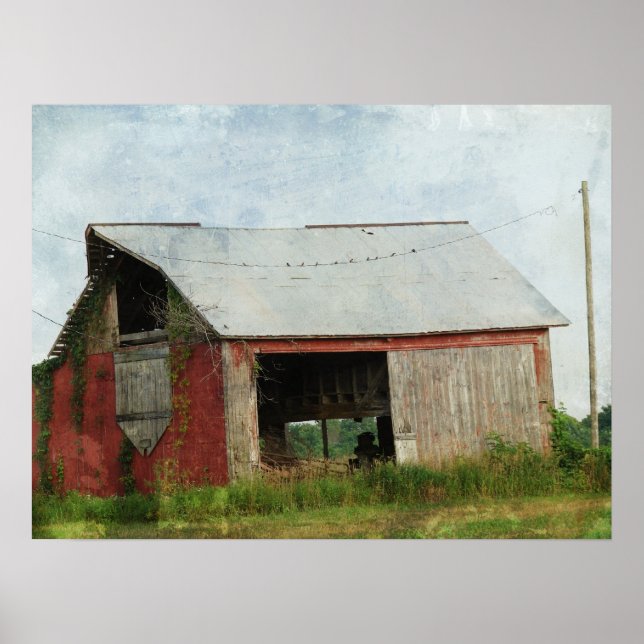 Barn Swallows On The Line Red Barn Poster (Front)