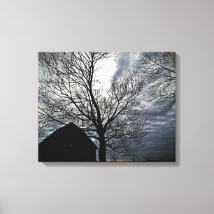 Barn w/Sky & Bare Trees Canvas Black & White Photo Print