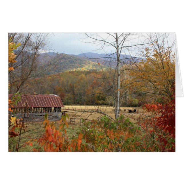 Barn with cows (Front Horizontal)
