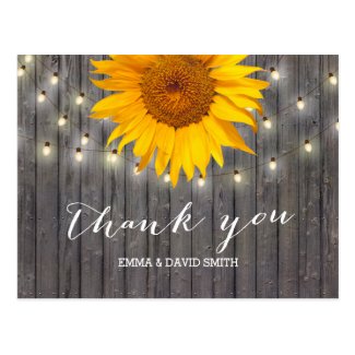 Barn Wood Sunflower & String Lights Thank You Postcard