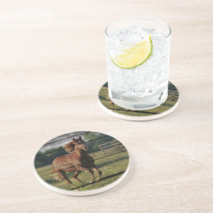 Barn Woodgrain Country Ranch Galloping Brown Horse Coaster