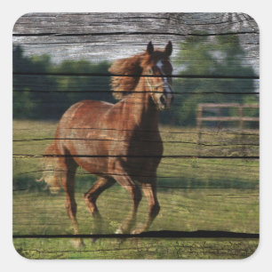 Barn Woodgrain Country Ranch Galloping Brown Horse Square Sticker