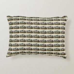 Barnacle Goose - from Audubon's Birds of America Accent Pillow