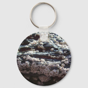 Barnacles 2 keychain