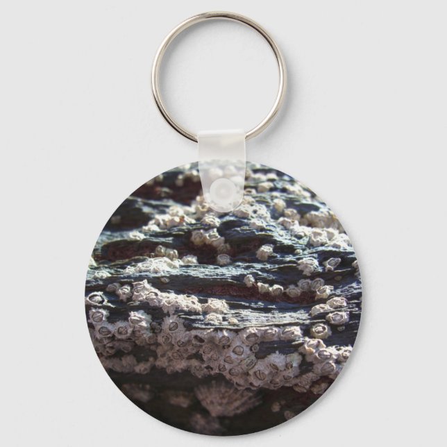 Barnacles 2 keychain (Front)