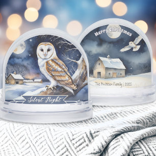 Barne Owl Aquarelle Silence Night Neige Globe