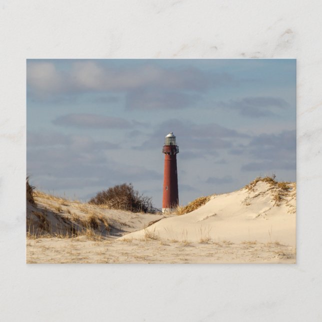 Barnegat Lighthouse Postcard (Front)