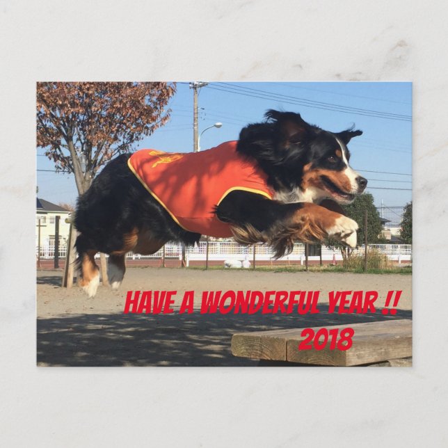 Barney's Mountain Dog New Year's Card 2018 (Front)