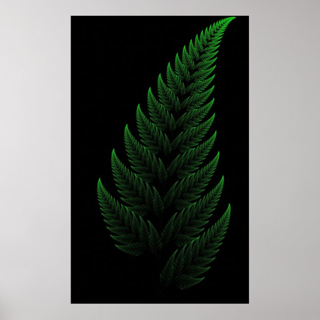 Barnsley Fern Poster (Front)