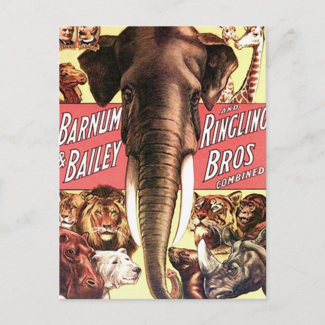 Barnum & Bailey and Ringling Bros Combined - Eleph Postcard (Front)