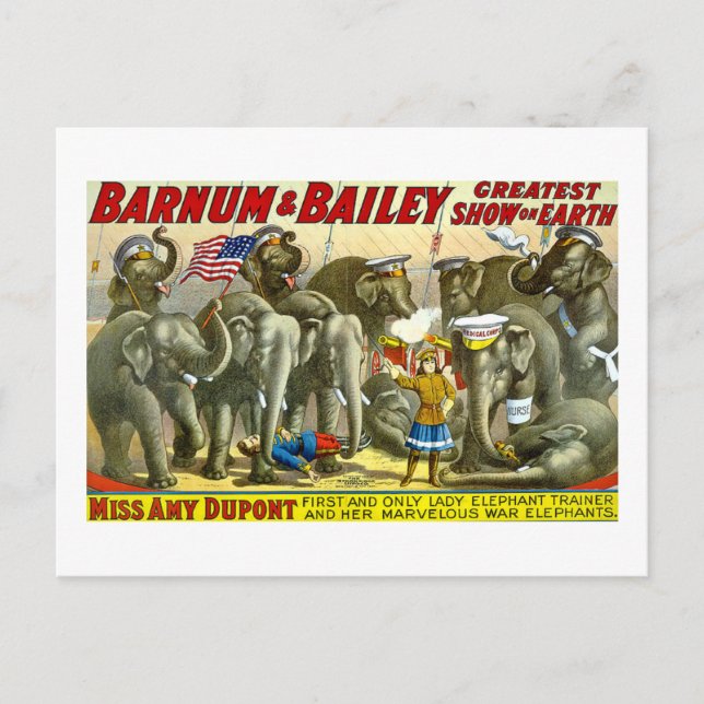 Barnum & Bailey - Elephants Postcard (Front)