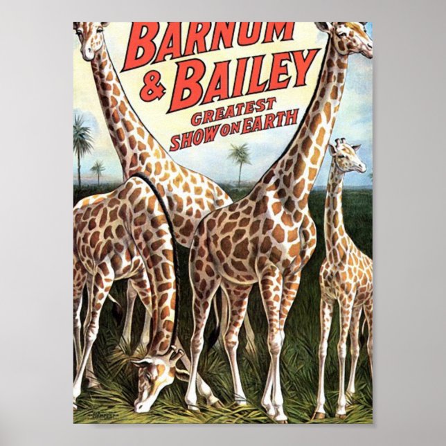 Barnum & Bailey Giraffes Retro Theatre Poster (Front)