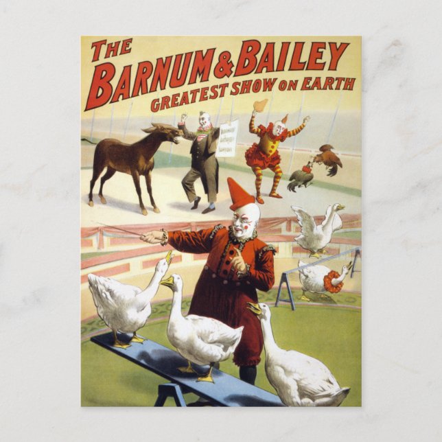 Barnum & Bailey - Wonderful Performing Geese Postcard (Front)