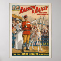 Barnum & Bailey's Presents: Bumbeno's Big Debut