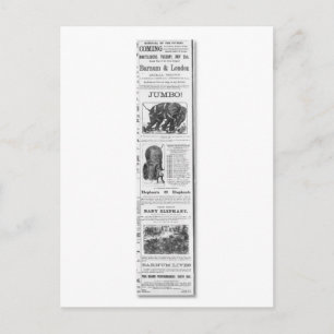 Barnum & London Moral Shows Ad Postcard