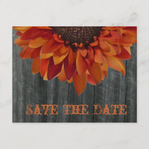 Barnwood & Sunflower Fall Wedding Save The Date