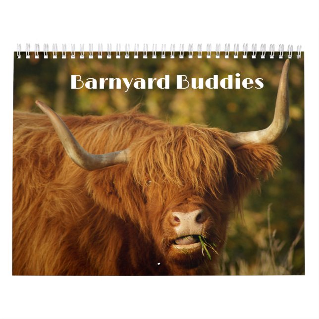 Barnyard Buddies Farm Calendar (Cover)