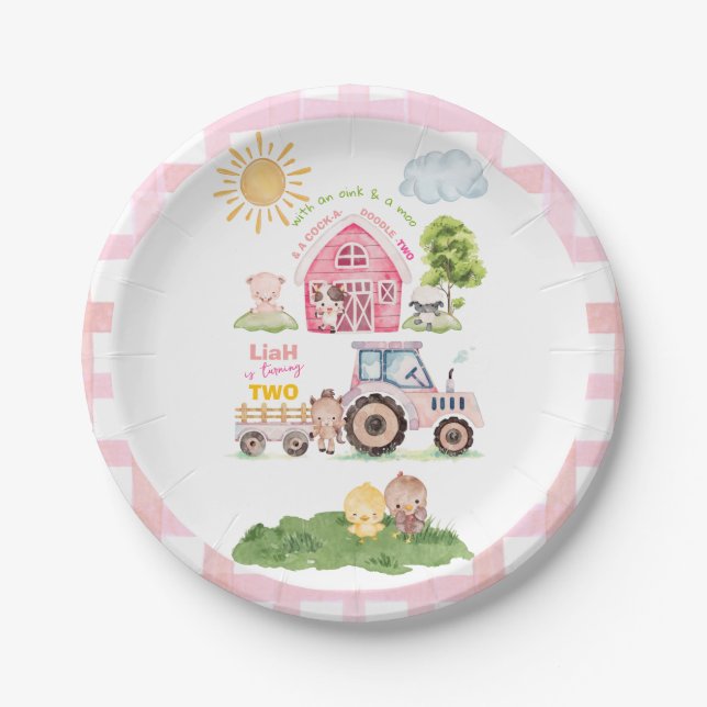Barnyard Fun Pink 2nd Birthday  Paper Plate (Front)