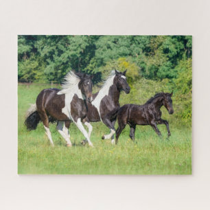 Barock Pinto Horses Herd with Cute Foal Galloping  Jigsaw Puzzle