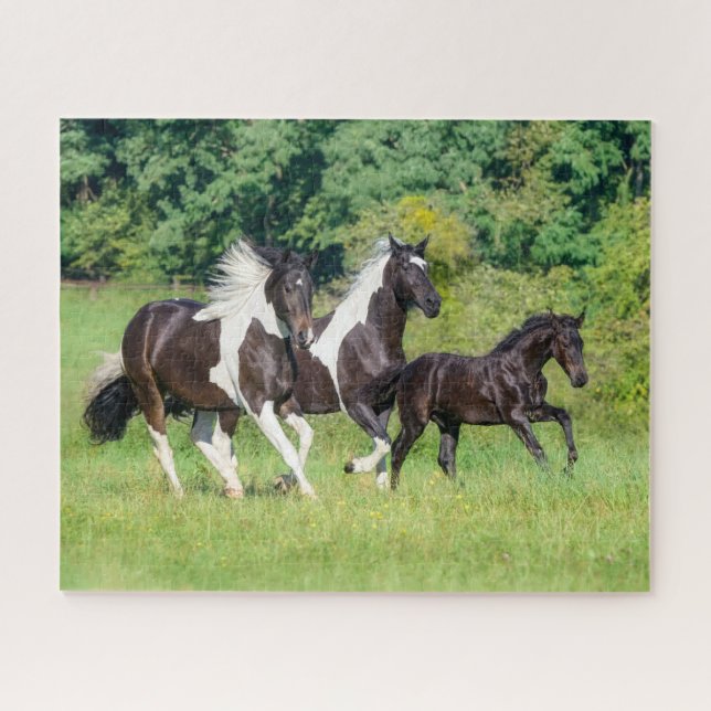 Barock Pinto Horses Herd with Cute Foal Galloping  Jigsaw Puzzle (Horizontal)