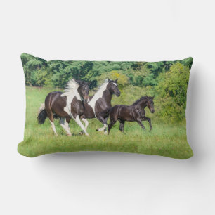 Barock Pinto Horses Herd with Cute Foal Galloping  Lumbar Pillow